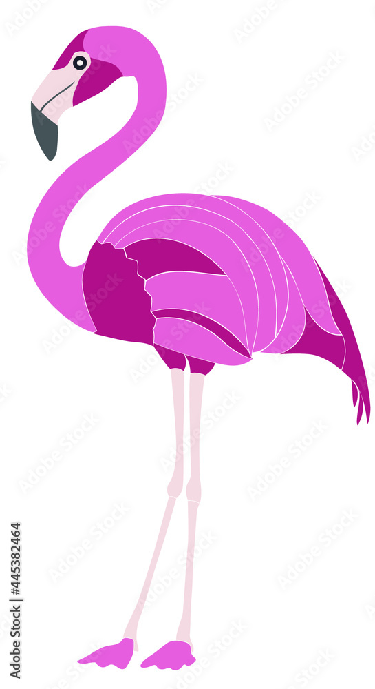 Obraz premium A pink flamingo stands tall. Vector illustration