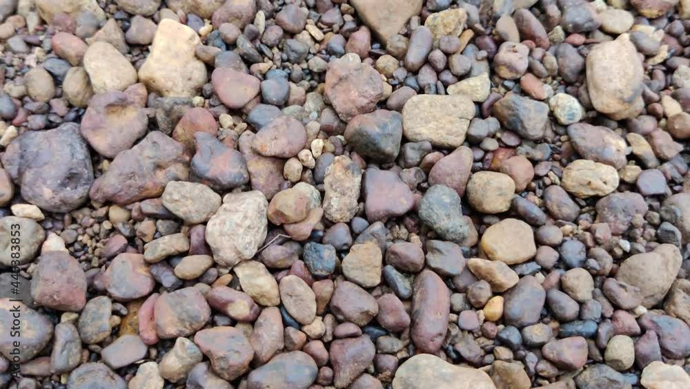 Closeup view of pebbles in the river bank Closeup view of pebbles in the river bank