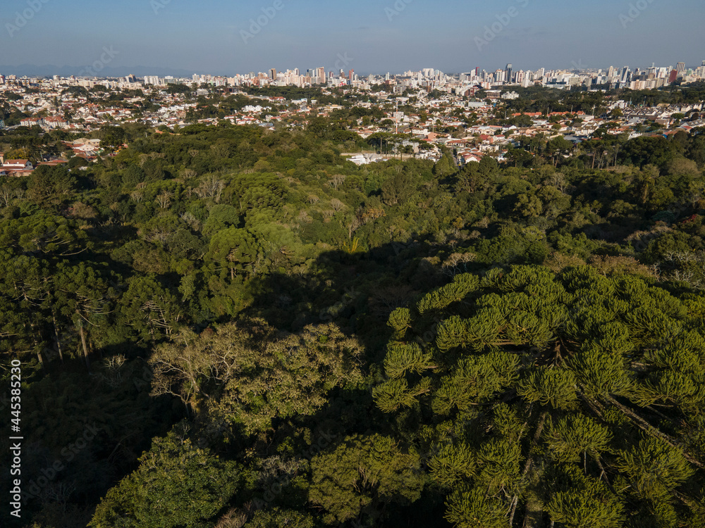 vista aérea da cidade de Curitiba com áreas de preservação em primeiro plano ao final da tarde. Paraná Brasil. 
