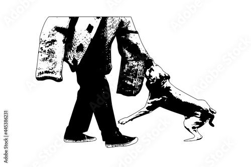 Black and White Silhouette  Police K9 training with bite decoy. An American Staffordshire Terrier aggressively attacks a man wearing special clothing. Working dog training.