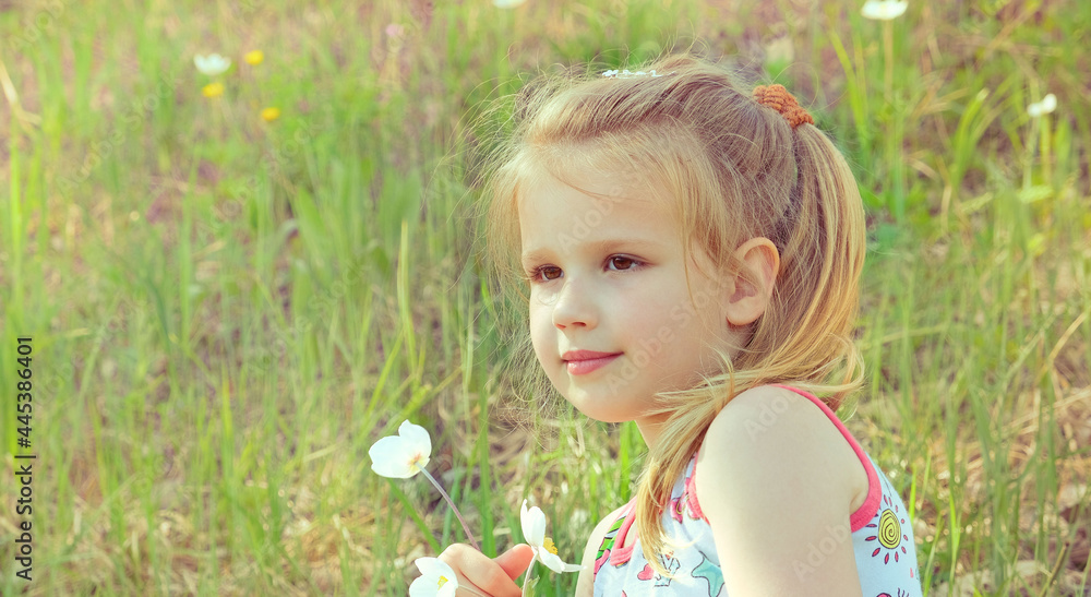 Little girl picking summer flowers in a field. Happy child enjoying nature outdoors Little girl picking summer flowers in a field. Happy child enjoying nature outdoors