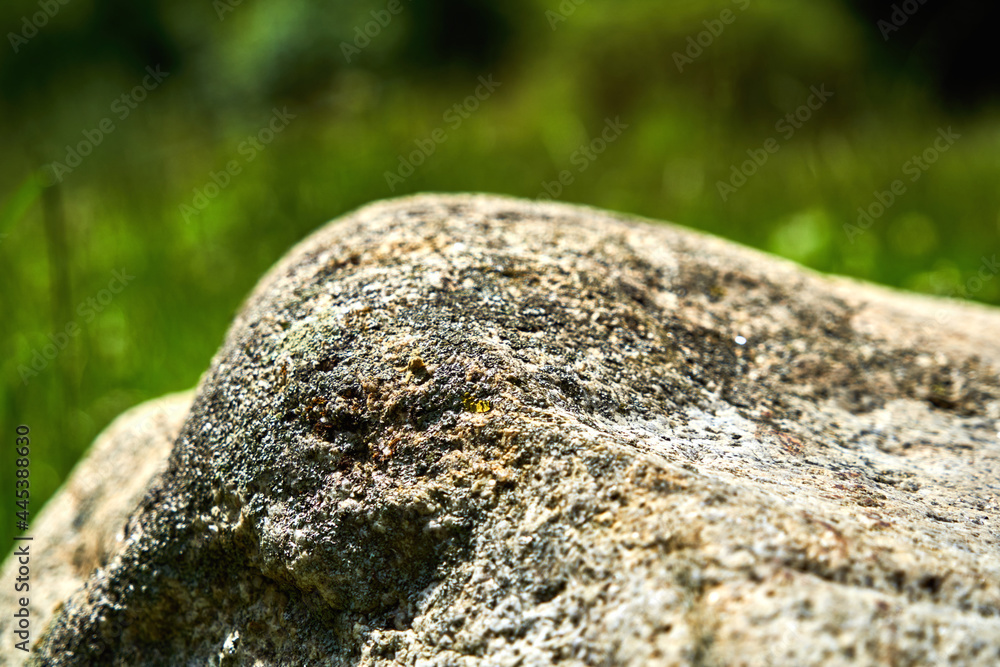 Edge-rounded rock of granite, heavily weathered with a crust of manganese oxide and iron compounds, selective focus, blurred background, isolated Edge-rounded rock of granite, heavily weathered with a crust of manganese oxide and iron compounds, selective focus, blurred background, isolated