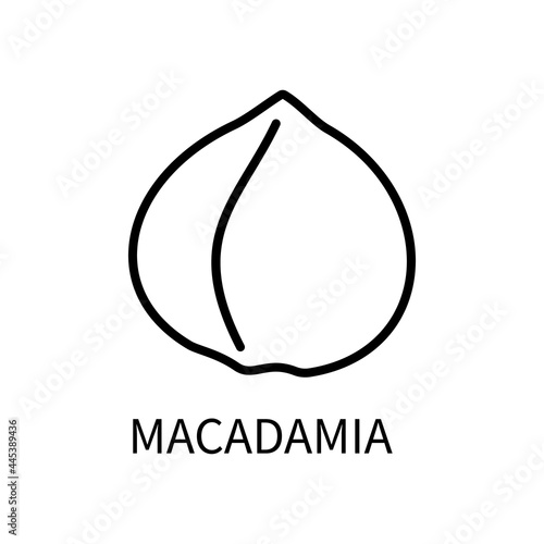 Icon Macadamia Line In A Simple Style. Source Obtaining Milk Vegetable Origin. Vector sign in a simple style isolated on a white background. Original size 64x64 pixels.