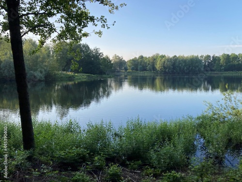 Kleiner See im Bürgerpark Mosse (Bocholt, Westmünsterland), eng umstanden von Grün und Bäumen, die sich auf der Wasseroberfläche spiegeln. Blauer Himmel kurz nach Sonnenaufgang.