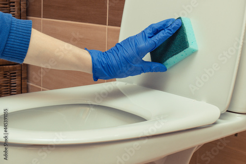 Fototapeta Naklejka Na Ścianę i Meble -  Hand of cleaner using sponge for cleaning toilet. Household duties concept