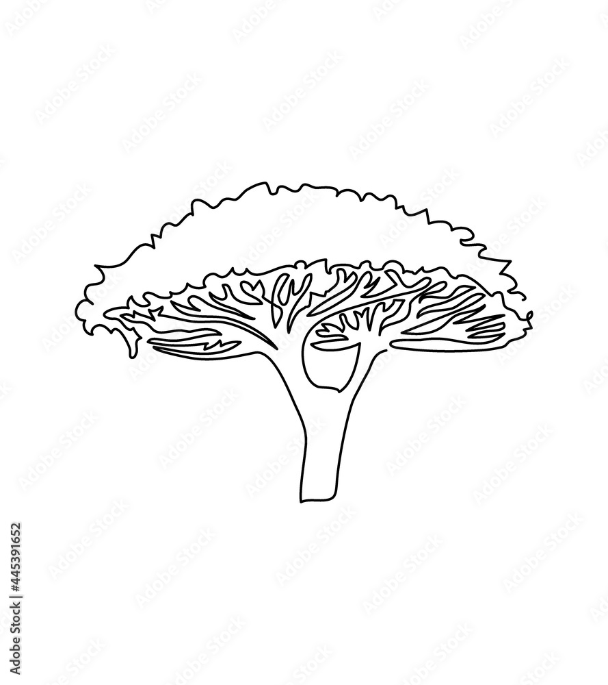 Acacia umbrella tree one line art. Continuous line drawing of plants