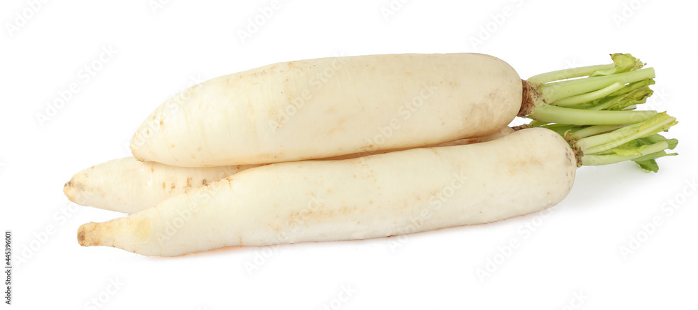 white radish isolated on a white background white radish isolated on a white background