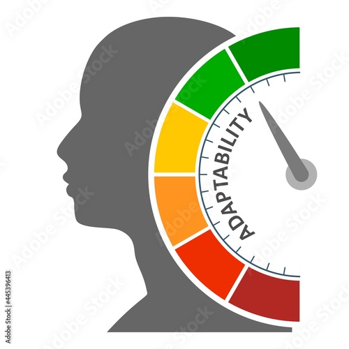 Concept of human adaptability , development of personal qualities