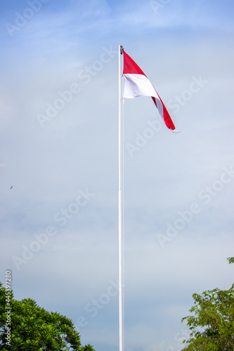 Indonesian Flag