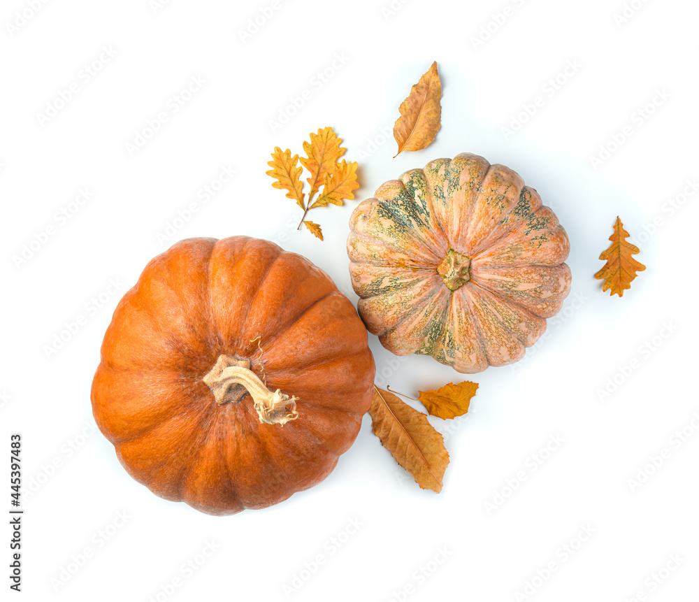 Pumpkins and autumn foliage on a white background.