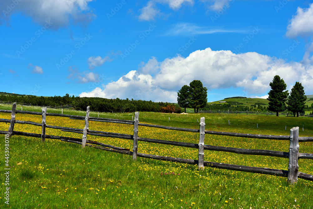Fototapeta premium alpe di villandro It is the second largest mountain pasture in Europe tyrol italy