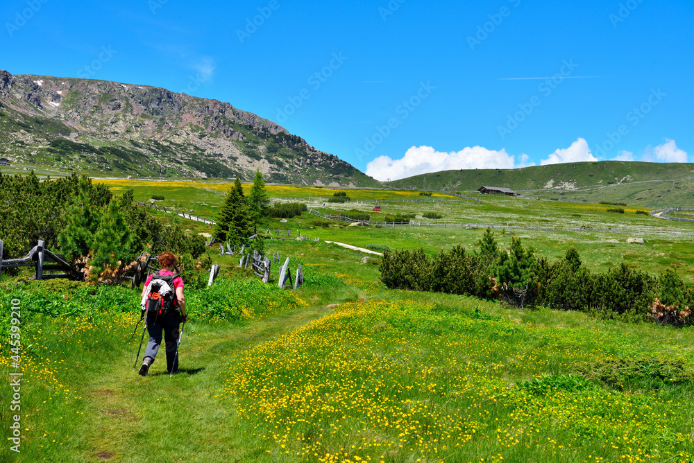 Obraz premium alpe di villandro It is the second largest mountain pasture in Europe tyrol italy