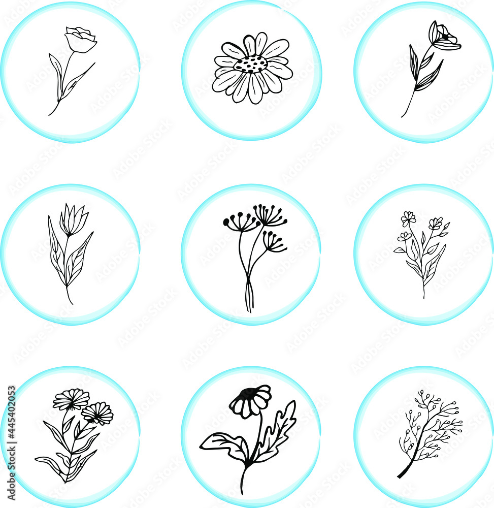 Wild herbs and flowers. Hand drawn icons set. Flowers icon for decorative and beauty design.
