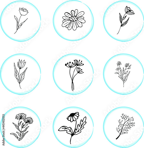 Wild herbs and flowers. Hand drawn icons set. Flowers icon for decorative and beauty design. 