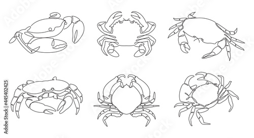 One single line drawing of crabs vector.