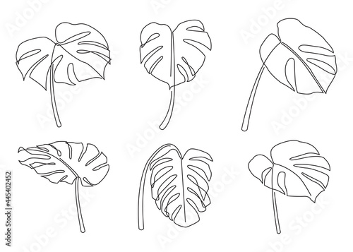 Continuous line drawing monstera leaves set