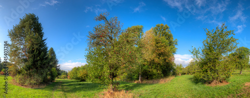 Eine Streuobstwiese im Norden von Frankfurt am Main