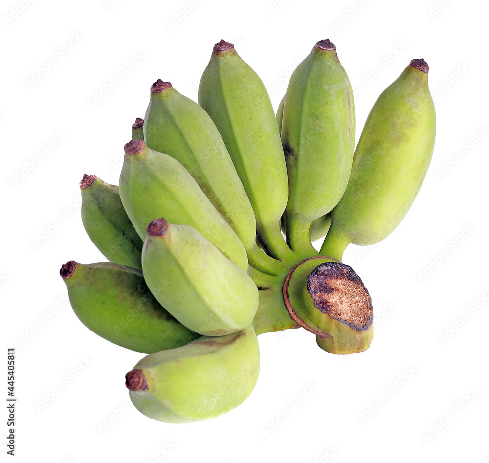 Ripe banana, green cavendish bananas ready to eat. Ripe banana, green cavendish bananas ready to eat.