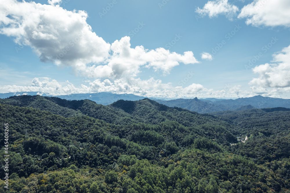 mountains and trees during daytime mountains and trees during daytime