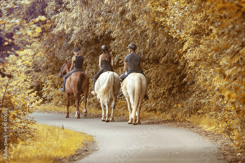 Wallpaper Mural horseback riding in the wild Torontodigital.ca