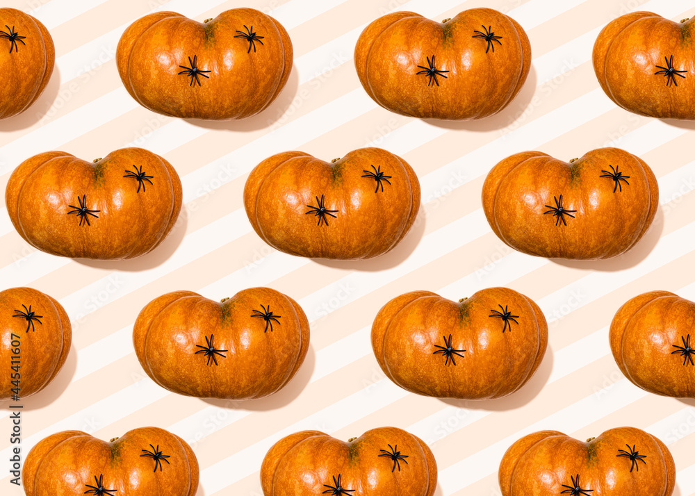 Halloween pattern of spiders crawling on raw pumpkins Halloween pattern of spiders crawling on raw pumpkins