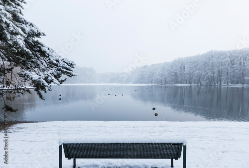 Empty bench on snow-covered shore of Adenauer Weiher photo