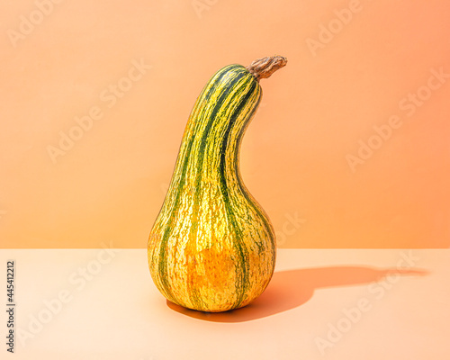 Studio shot of green raw pumpkin photo