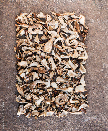 Studio shot of dried porcini mushrooms arranged into rectangular shape photo