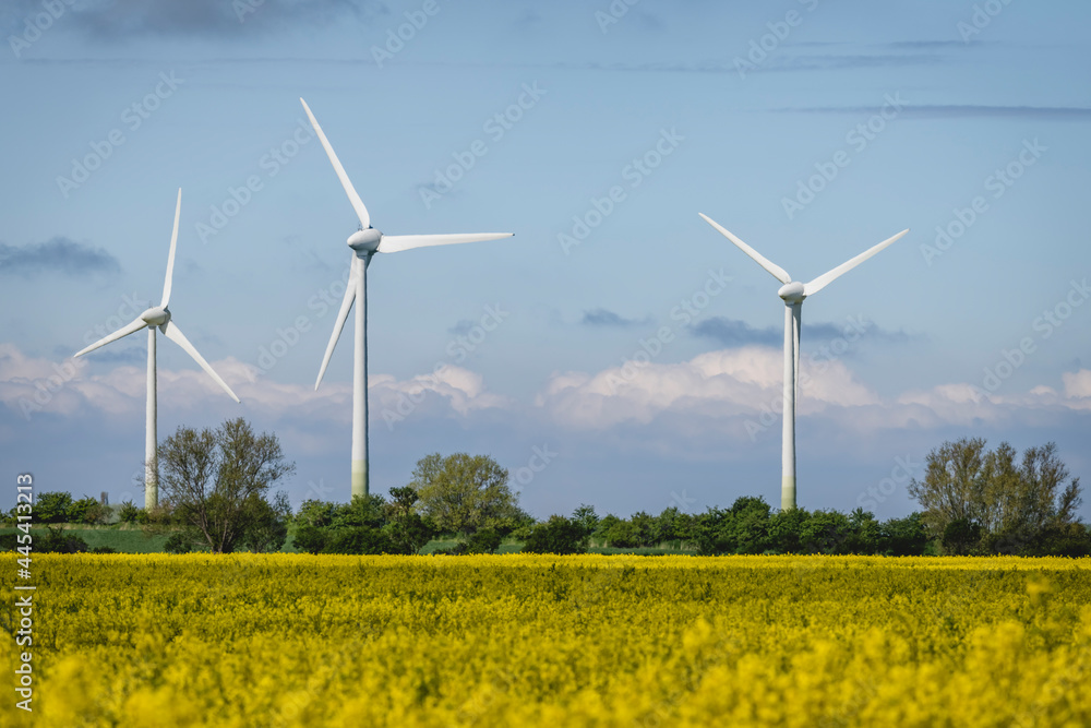 Oilseed rape field with wind farm in background Oilseed rape field with wind farm in background