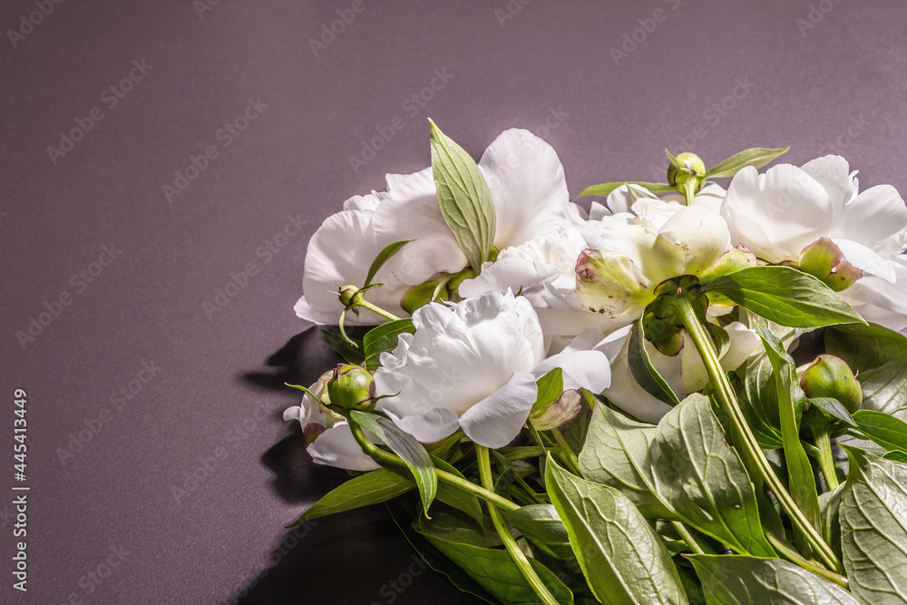 Obraz premium Bouquet of fresh white peonies on white old planks background