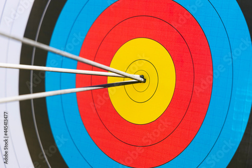 Arrows in bull's eye
