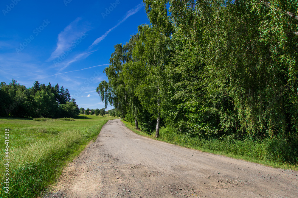 Tarmac road between meadows and trees in hot summer in Czechia.