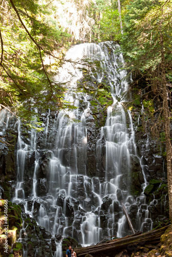 waterfall in the forest