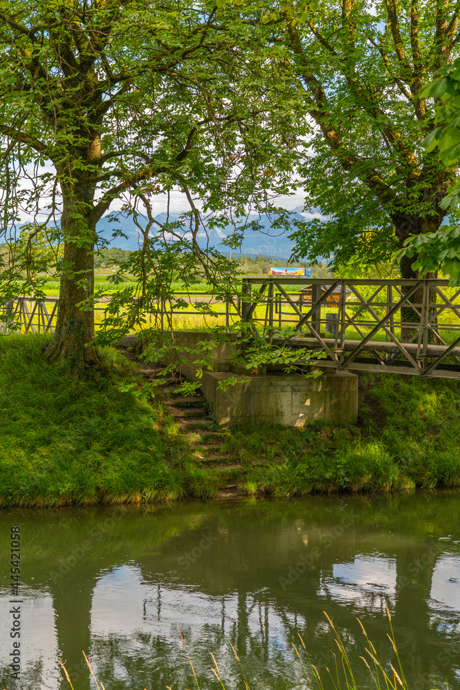 bridge over the river