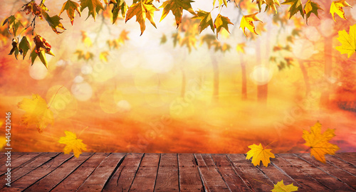orange fall  leaves and old wooden board  autumn natural background