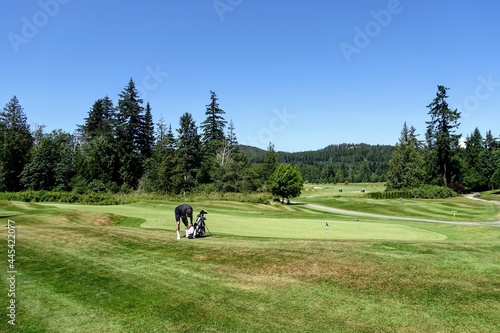 A man golfing beside a golf green surrounded by beautiful forest on a sunny day in powell river, british columbia, canada © christopher