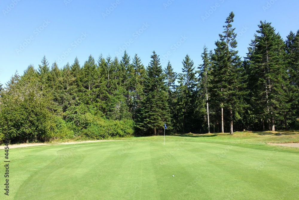 A beautiful golf green surrounded by forest in perfect shape, on Vancouver Island, British Columbia, Canada