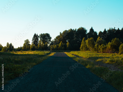 country road overlooking the forest on a summer evening