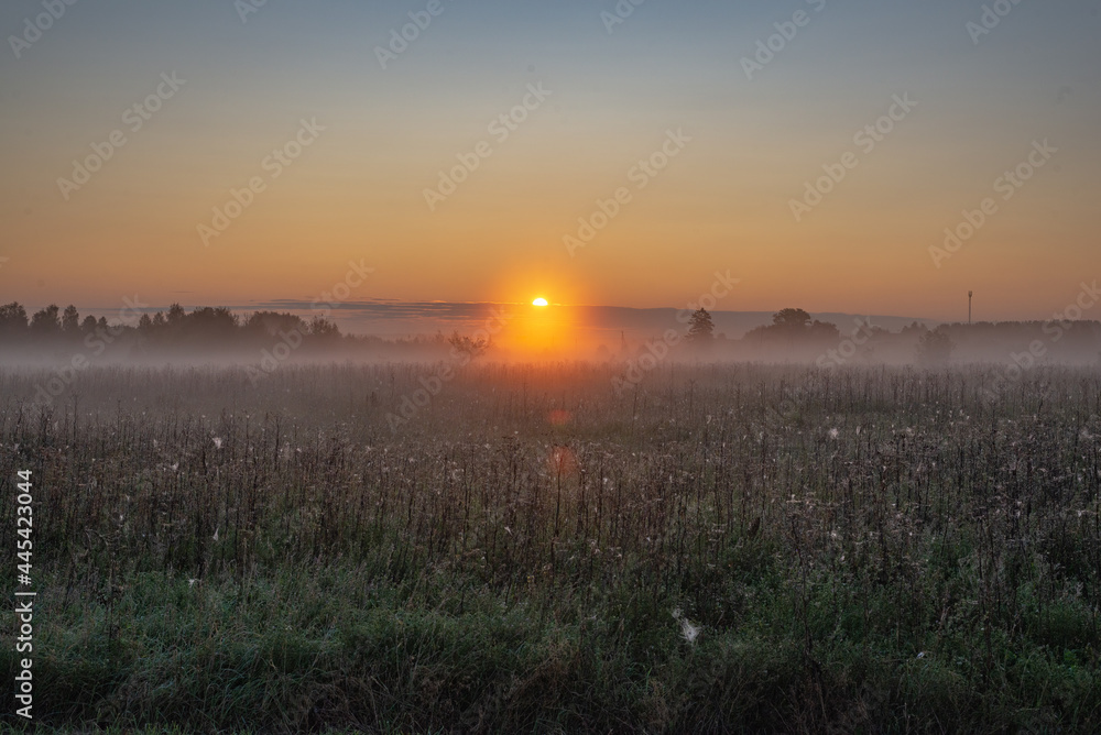 Sunrise on a foggy morning. Zavyalovsky district, Udmurt Republic, Russia.