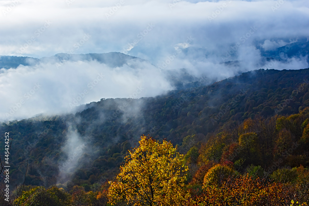 Утро Западного Кавказа в облаках