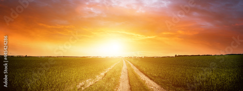 Panorama of green field with dirt road and sunset sky. Summer rural landscape sunrise © luchschenF