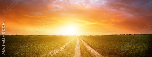 Panel kuchenny z motywem Panorama of green field with dirt road and sunset sky. Summer rural landscape sunrise