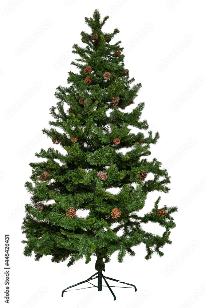 Fototapeta premium Christmas tree