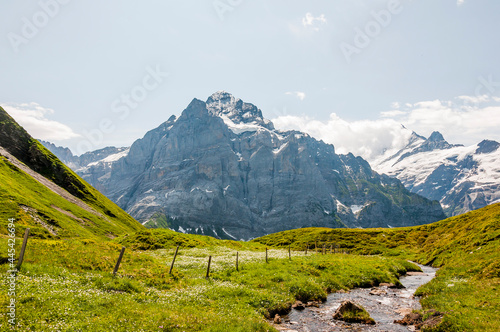 Grindelwald, Wetterhorn, Grosse Scheidegg, Schreckhorn, Oberläger, Schreckfeld, First, Gemsberg, Bergbach, Oberer Grindelwaldgletscher, Berner Oberland, Alpen, Wanderweg, Höhenweg, Sommer, Schweiz photo