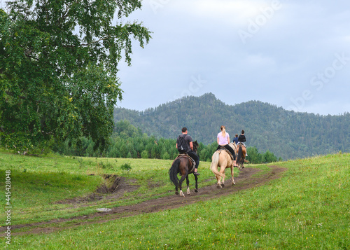 Tourists in the mountains on horses in the Altai, Russia