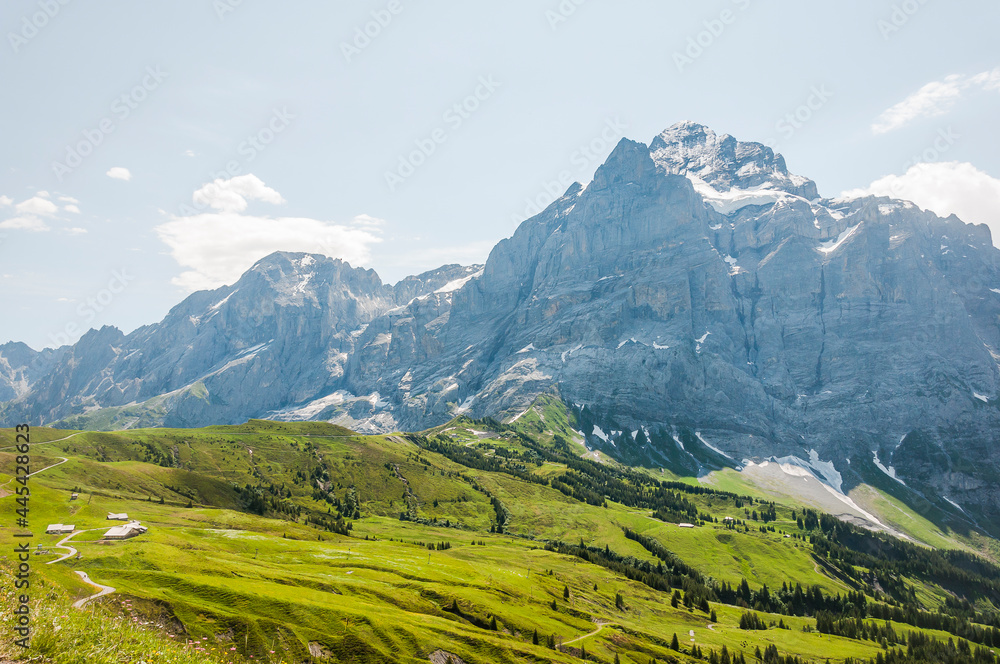 Grindelwald, Wetterhorn, Grosse Scheidegg, Wellhorn, Gistellihorn, Bärglistock, Oberer Grindelwaldgletscher, First, Berner Oberland, Alpen, Wanderweg, Höhenweg, Sommer, Schweiz Grindelwald, Wetterhorn, Grosse Scheidegg, Wellhorn, Gistellihorn, Bärglistock, Oberer Grindelwaldgletscher, First, Berner Oberland, Alpen, Wanderweg, Höhenweg, Sommer, Schweiz