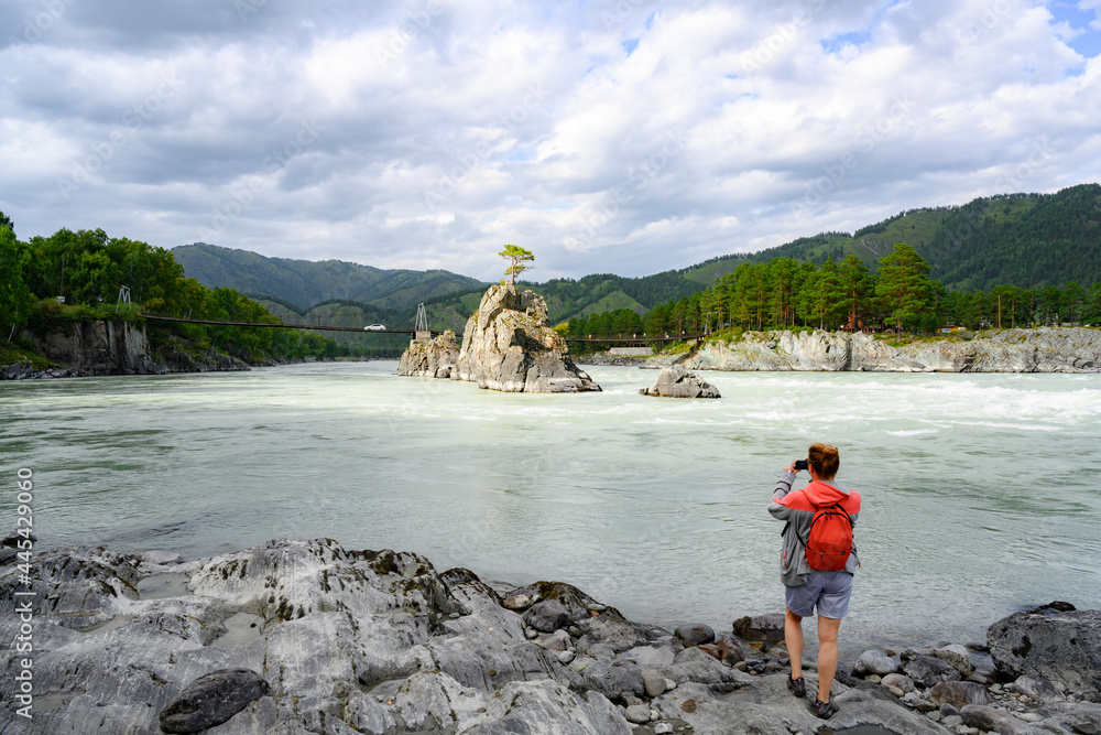 Woman taking a picture of a stone cliff with a pine tree in the middle of a mountain river in Mountain Altai, Russia