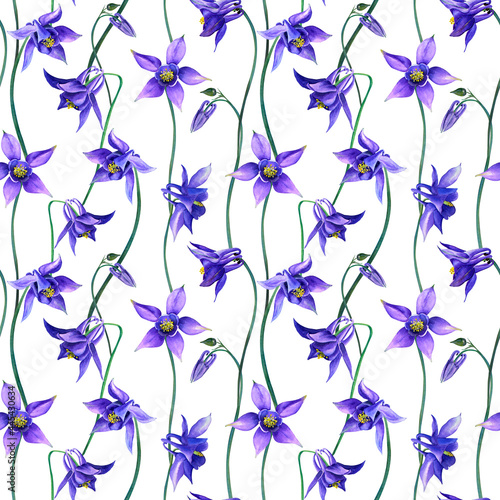 Floral seamless aquilegia pattern. Watercolor raster illustration isolated on white background. Purple spring garden flowers for wallpaper  fashion  textile.