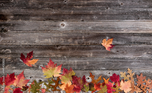 Autumn border with faded leaves on vintage wooden background