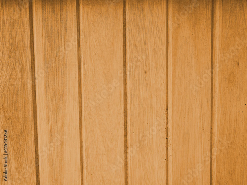 Textura tábua madeira